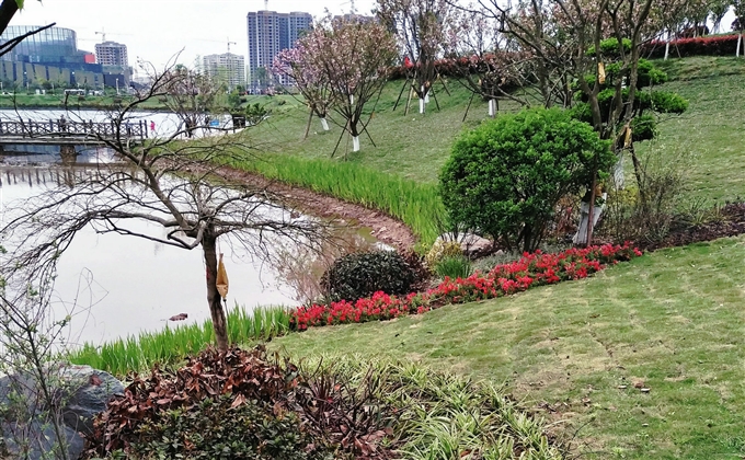 最愛蓮花湖畔行，風(fēng)恬日暖蕩春光---何建民