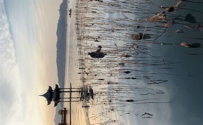 水光瀲滟晴方好，山色空蒙雨亦奇