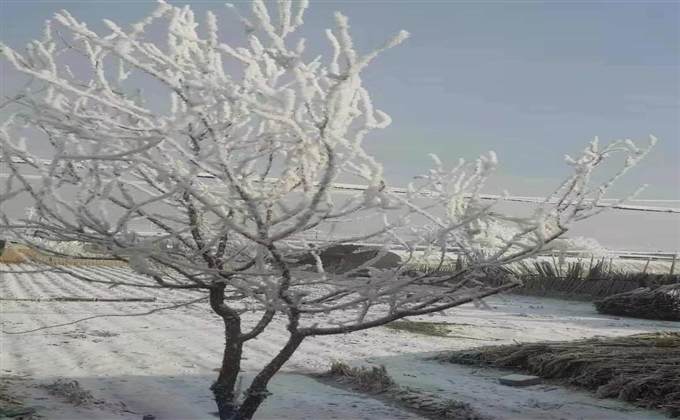 鄉(xiāng)村雪景