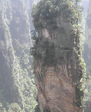 生命不息 姜國華攝影作品