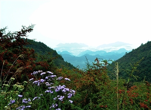 千野草場(chǎng) 何建民攝影作品