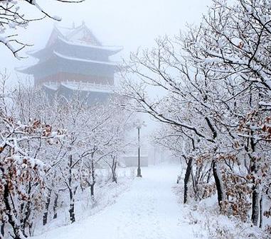 春雪蘊意 張靈云攝影作品