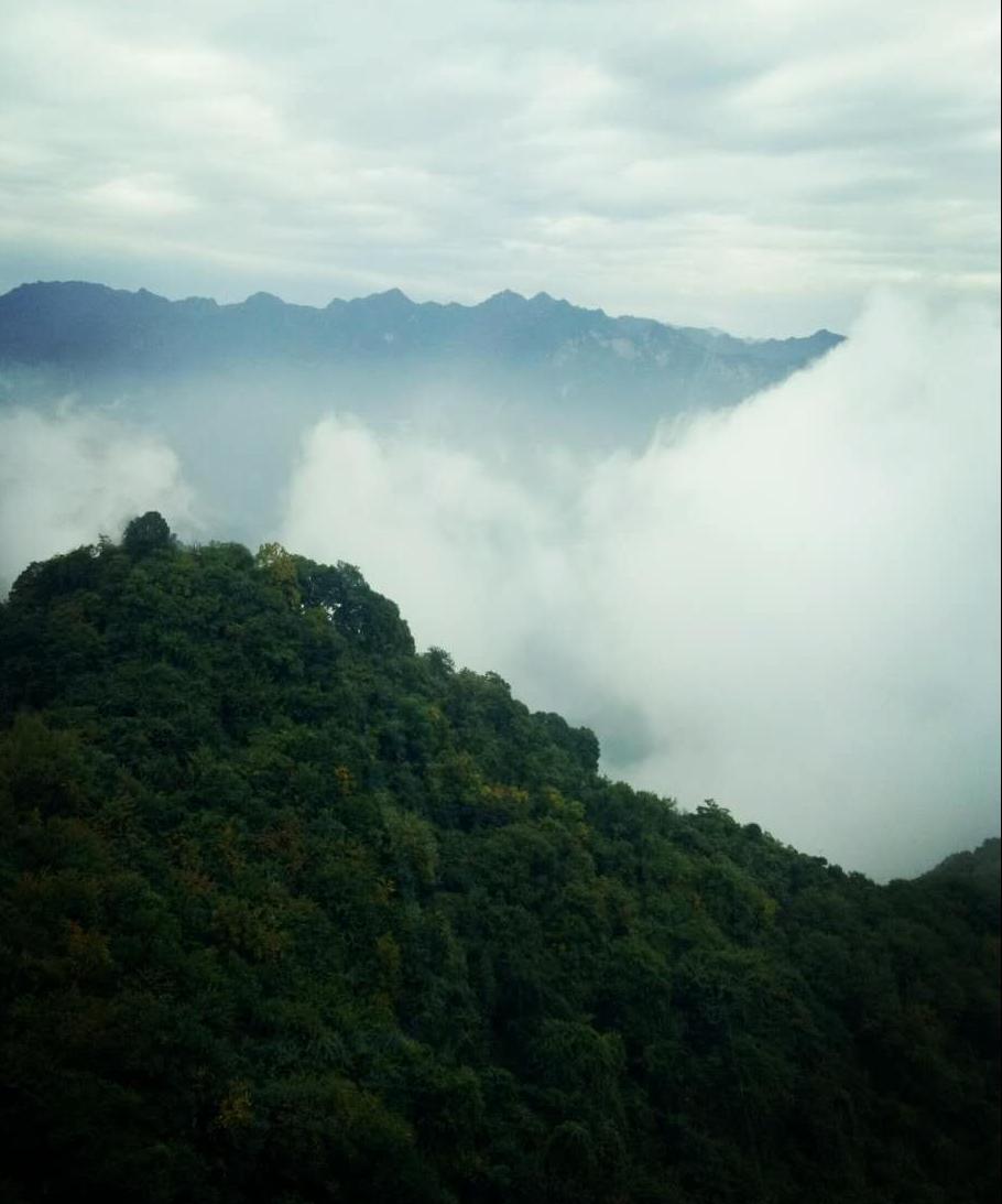 青山迷霧-唐雪靜-董家河社區(qū)