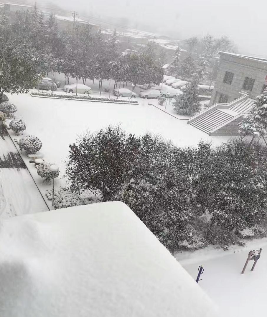 美麗雪景