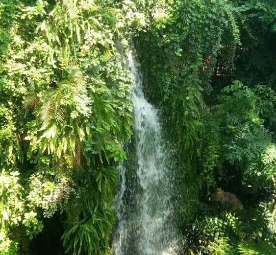 高山流水