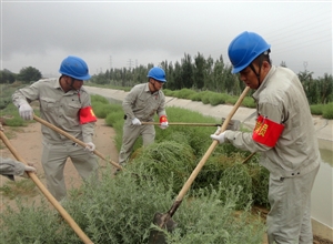 神華寧煤集團(tuán)煤化工分公司公管處公用設(shè)施運(yùn)行維護(hù)中心青年突擊隊(duì)義務(wù)勞動(dòng)美化園區(qū)