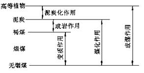 <font color='#1938e5'>煤田地質(zhì)基礎(chǔ)知識(shí)--礦業(yè)大學(xué)教材</font>