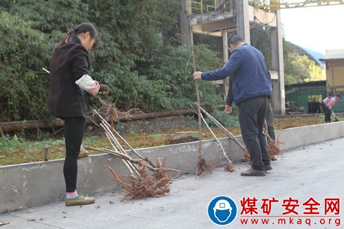 觀文煤礦積極創(chuàng)建美麗和諧礦區(qū)