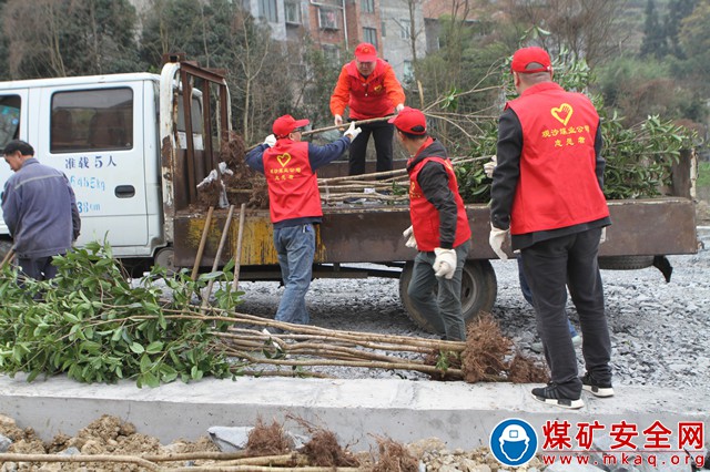 觀文煤礦積極參加觀文鎮(zhèn)政府組織的植樹節(jié)公益活動