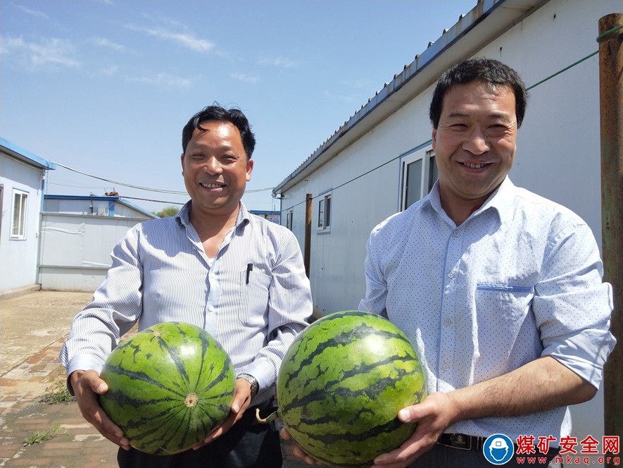 （圖片新聞）蒲白礦業(yè)煤礦運(yùn)營公司“夏送清涼暖人心”