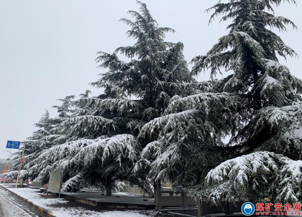 河南能源義煤公司石壕煤礦：春之雪