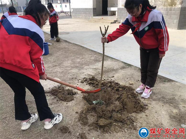 安徽廬江：郭河鎮(zhèn)明德小學(xué)開(kāi)展“‘植’此新綠   為綠充‘植’”植樹(shù)節(jié)主題活動(dòng)